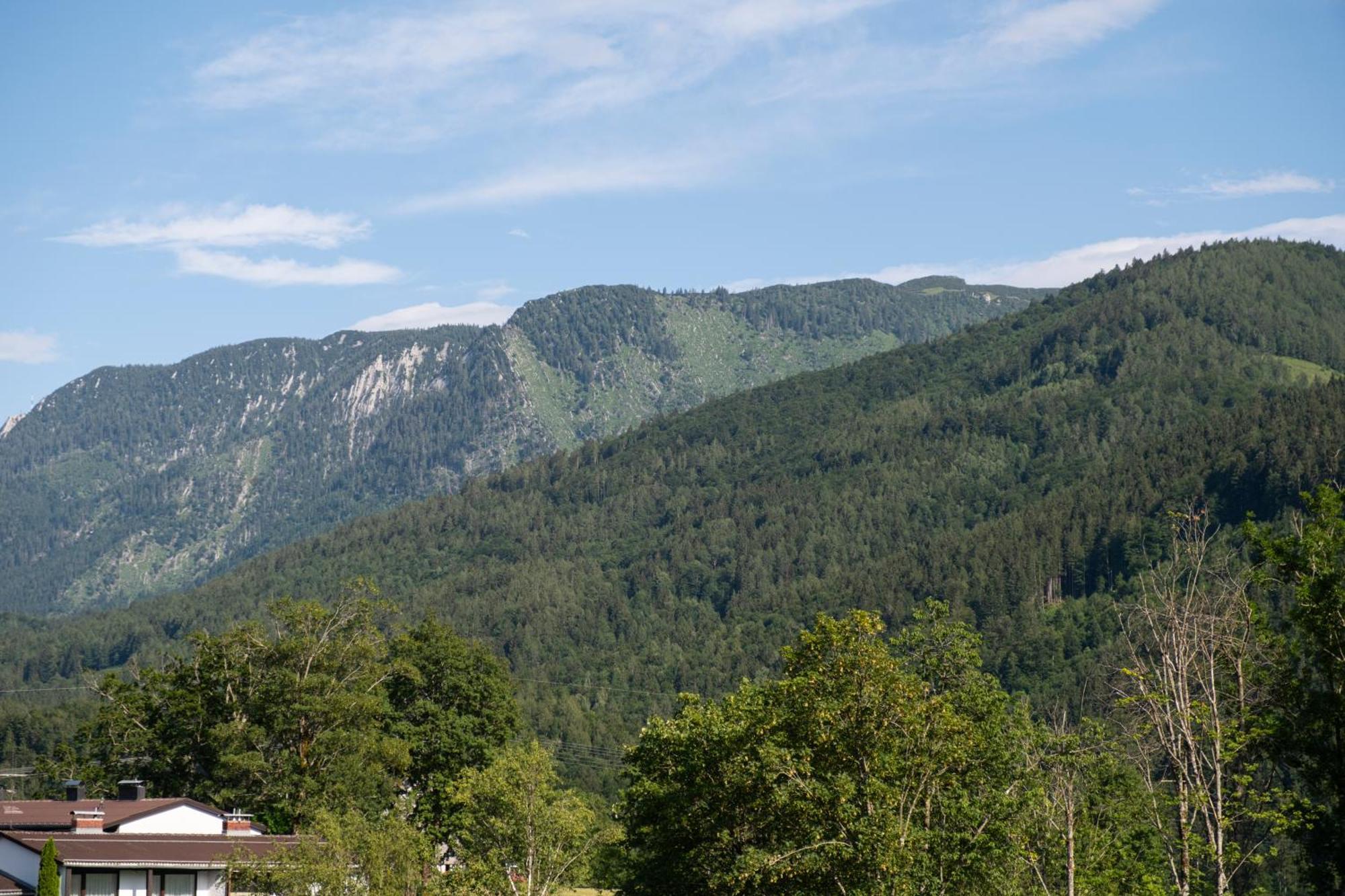 Suite Apartment Modern Getaway - Neu Renoviert - Strobl Am Wolfgangsee Zewnętrze zdjęcie